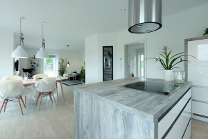 Modern & energiesparend: die offen gestaltete Küche. Danhaus Schönhagen Foto:Fabian Möbis/Danhaus