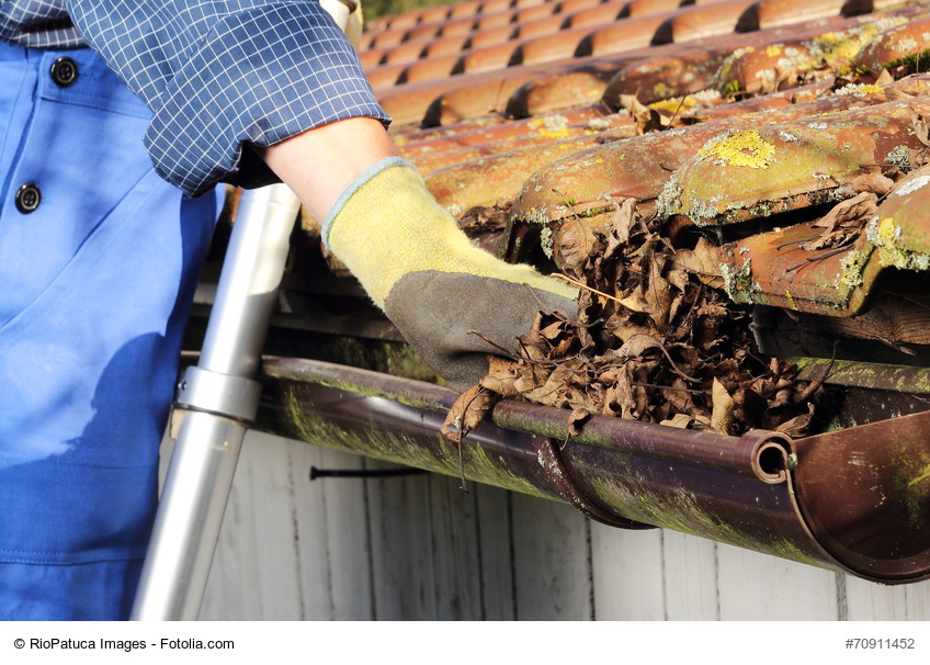 Die Dachrinne sollte im Frühjahr von Laub gesäubert werden Bild: © RioPatuca Images – Fotolia.com