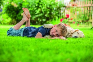Widerstandsfähiger, dichter grüner Rasen ist eine Zier für jeden Garten. Wichtig sind ausreichend Nährstoffe und die richtige Pflege.Foto: Neudorff/txn