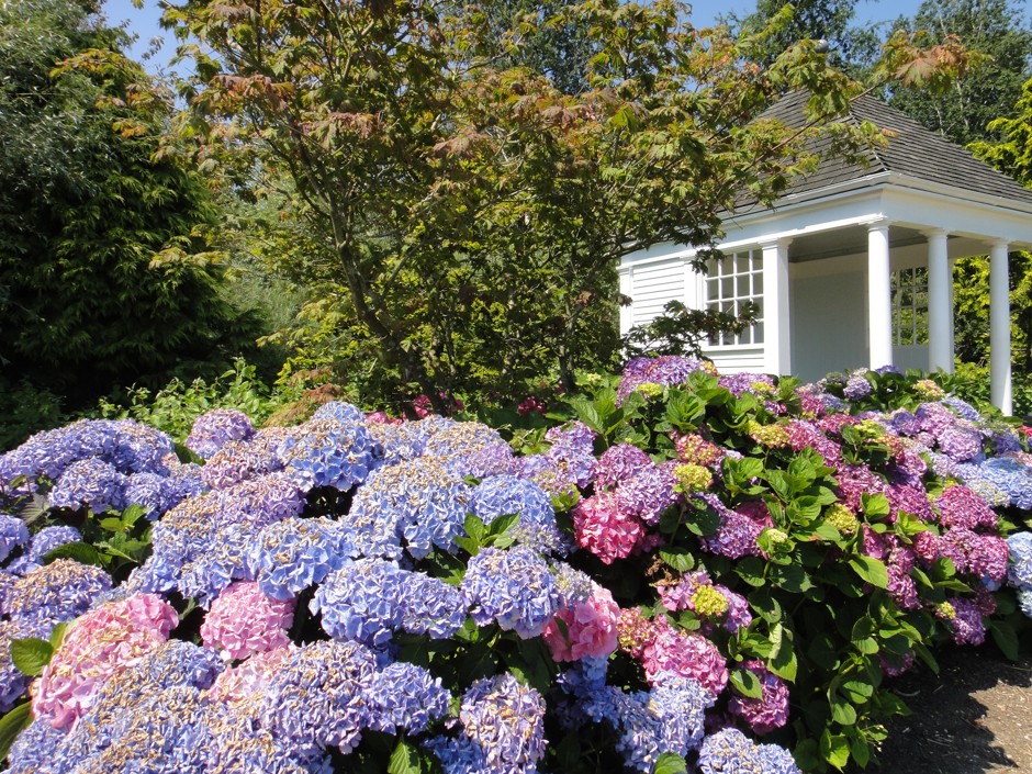 Typisch für einen Pavillon sind eine leicht erhöhte, idyllische Lage und ein von Pfählen gestütztes Dach. Die offenen Seiten gewähren freien Blick auf den Garten. © BGL