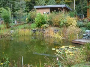 Wenn man einen Teich im Garten plant, lohnt es sich, das Gartenhaus nicht allzu weit davon entfernt bauen zu lassen. Praktischerweise lässt sich die Teichpumpe darin unterbringen. BGL