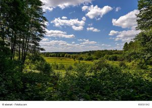 Naturschutzgebiet "Lange Dammwiesen und Unteres Annatal" Foto: (c) ebenart - fotolia.com