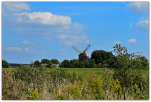 Weites Land in Oberhavel - im Hintergrund die Bockmühle in Vehlefanz