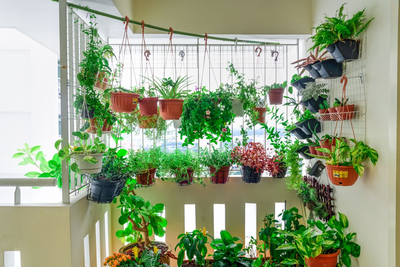 Sichtschutz für Balkon mit Pflanzen