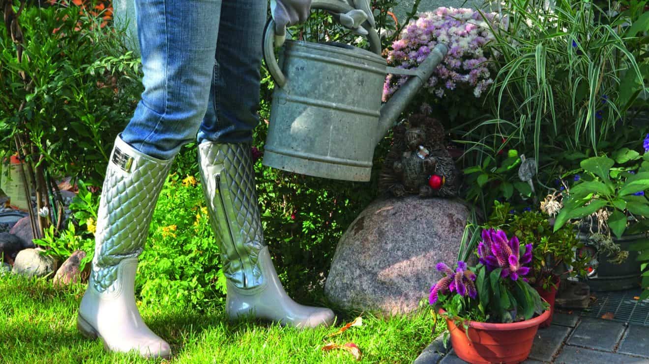 Einen Garten anlegen – Jetzt auf www.immobilien-journal.de