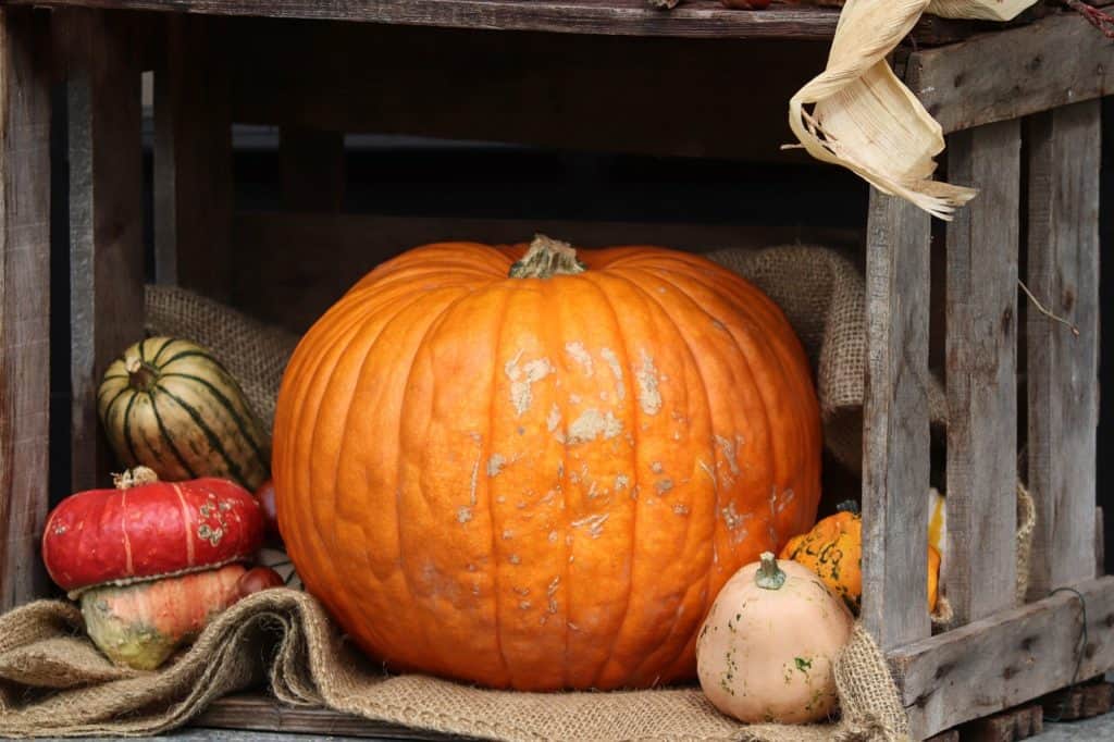 Herbst Deko für die Wohnung