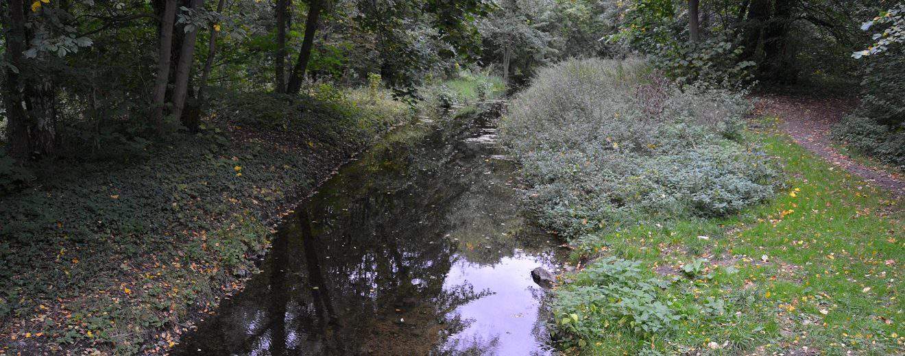 Landschaftspark der Gutsanlage Fredersdorf