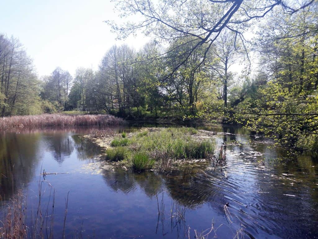 Großer Giebelsee in Petershagen / Eggersdorf, Brandenburg, Deutschland
