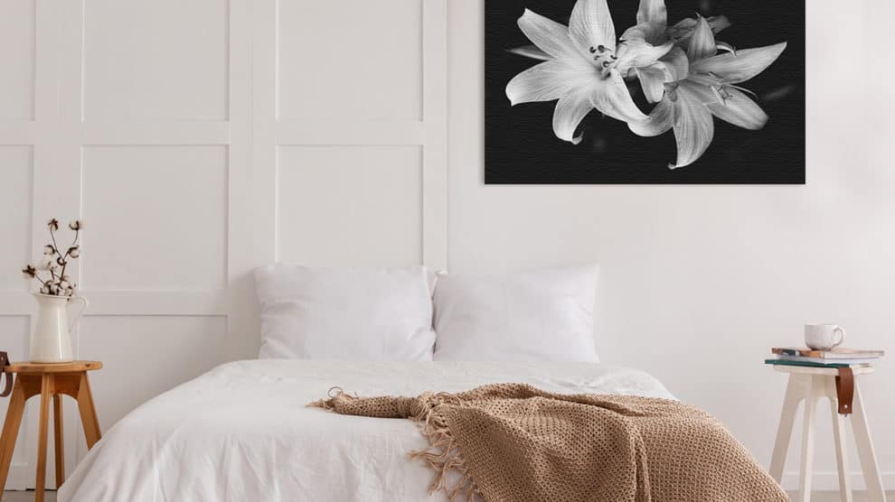 Schwarz-Weiß-Bild im Schlafzimmer