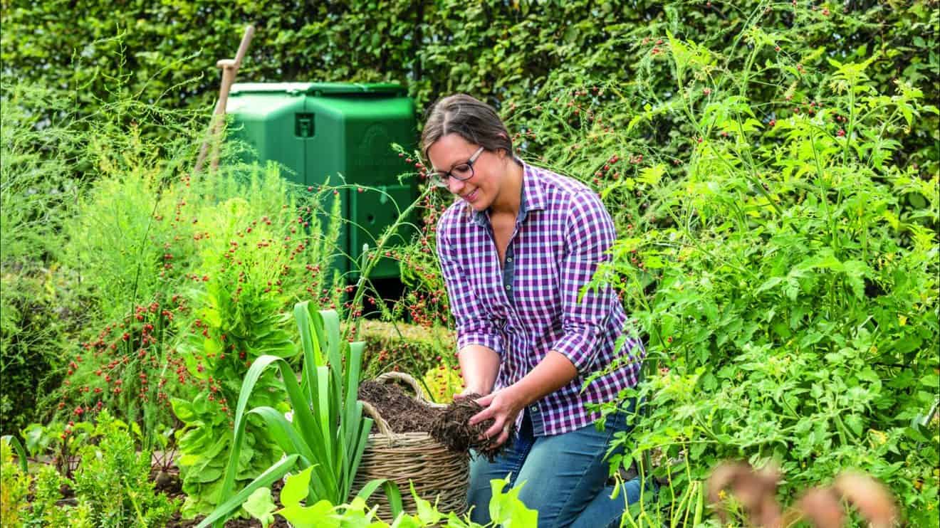 Schöner Garten trotz Trockenheit