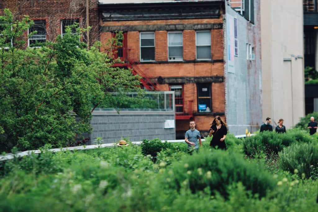 Mit Urban Gardening zu einem besseren Lebensgefühl