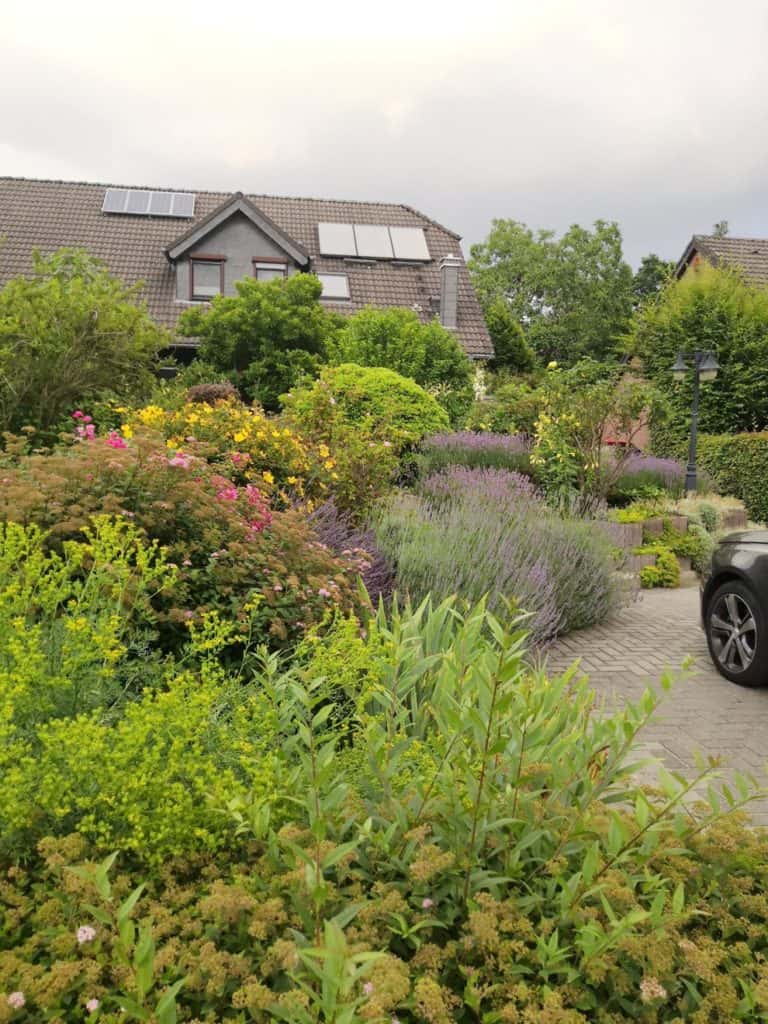 Foto: BGL. - Es ist wichtig, dass in der Gartengestaltung hinter und vor dem Haus möglichst statt versiegelter Oberflächen standortgerechte Beete geplant werden.