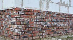 Mineralische Ausblühungen an der Grundmauer des Ziegelhauses.