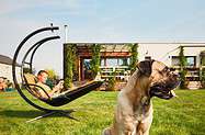 Haus mit Hund