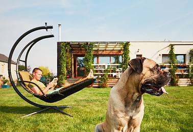 Haus mit Hund