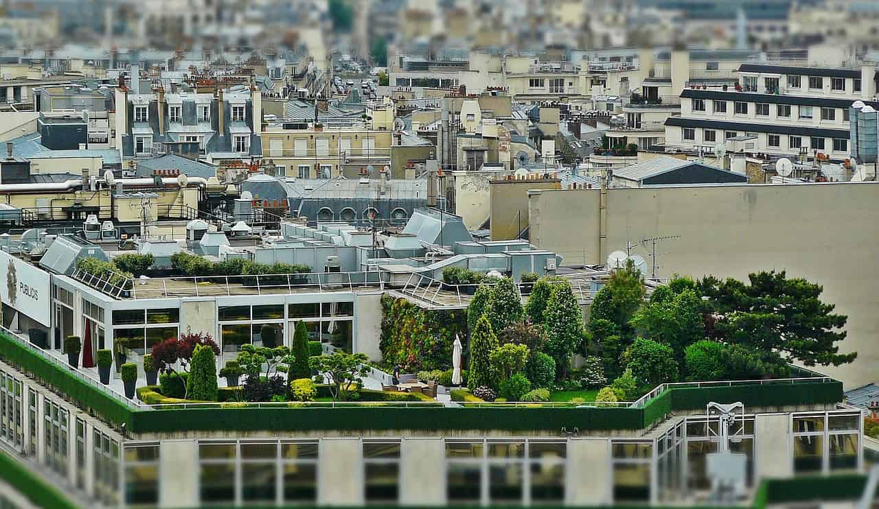 ein Garten auf dem Dach eines Hauses in Stadt