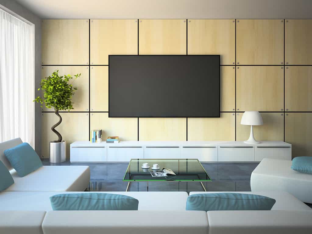 Fernseher mit Wandhalterung