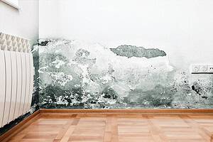 Wand mit Schimmelbildung