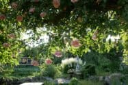 Nachhaltige Gartengestaltung