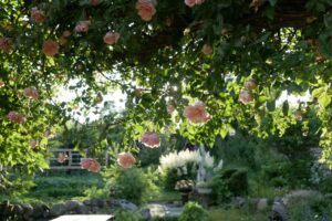 Nachhaltige Gartengestaltung