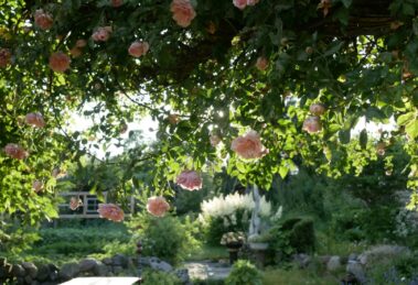 Nachhaltige Gartengestaltung