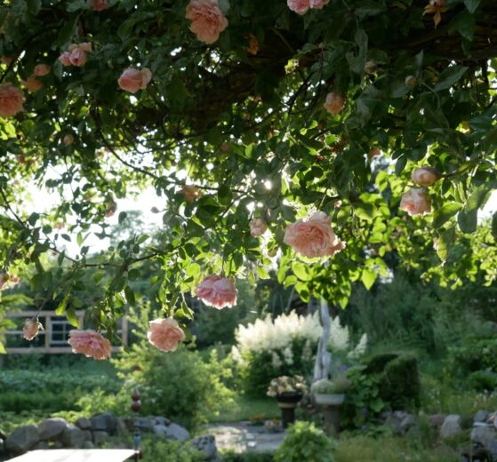 Nachhaltige Gartengestaltung