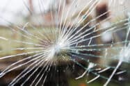 Glasschaden am Fenster
