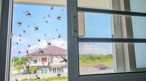 Insektenschutz beim Hausbau