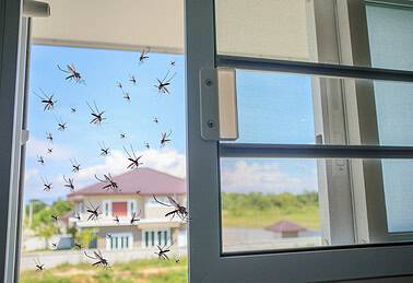 Insektenschutz beim Hausbau